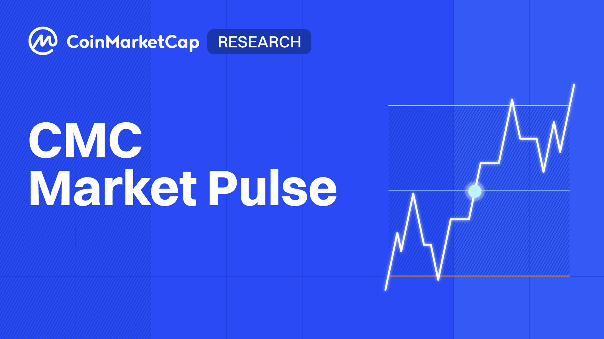 CMC Market Pulse: SpaceX (Pre) IPO Divides Investors