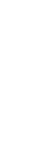 Bless Web Designs