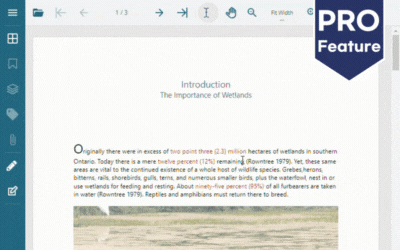 Add Comments to a PDF in JavaScript Web Appplications
