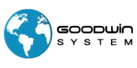Goodwin System