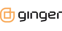 Ginger IT Solutions