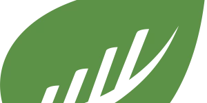 BusySeed