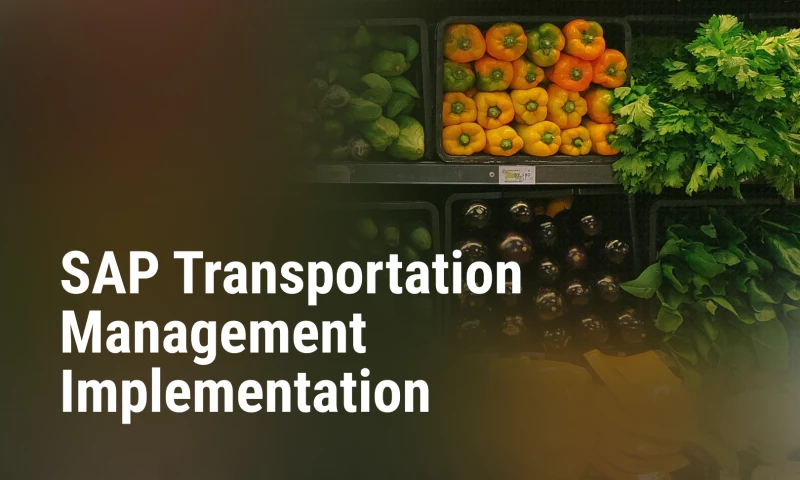 LeverX - SAP Transportation Management implementation for a large retailer