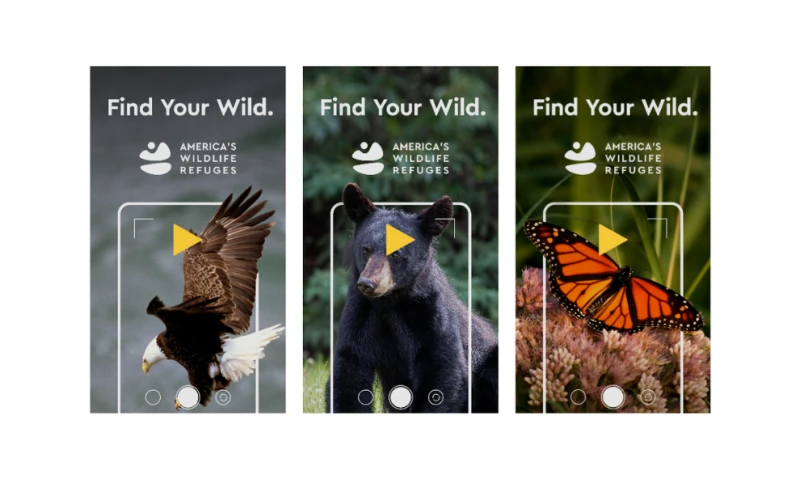 The Bureau Of Small Projects - Americas Wildlife Refuges