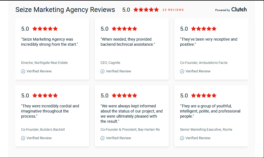 Seize Marketing Agency reviews