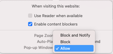 Allow pop-up window in browser